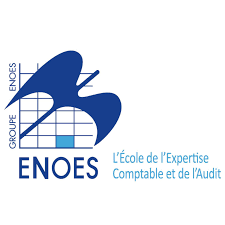 Logo ENOES