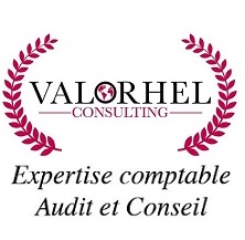 valorhelconsulting-logo-2